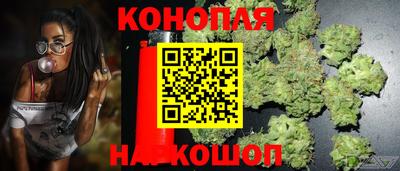 крисы Апрелевка